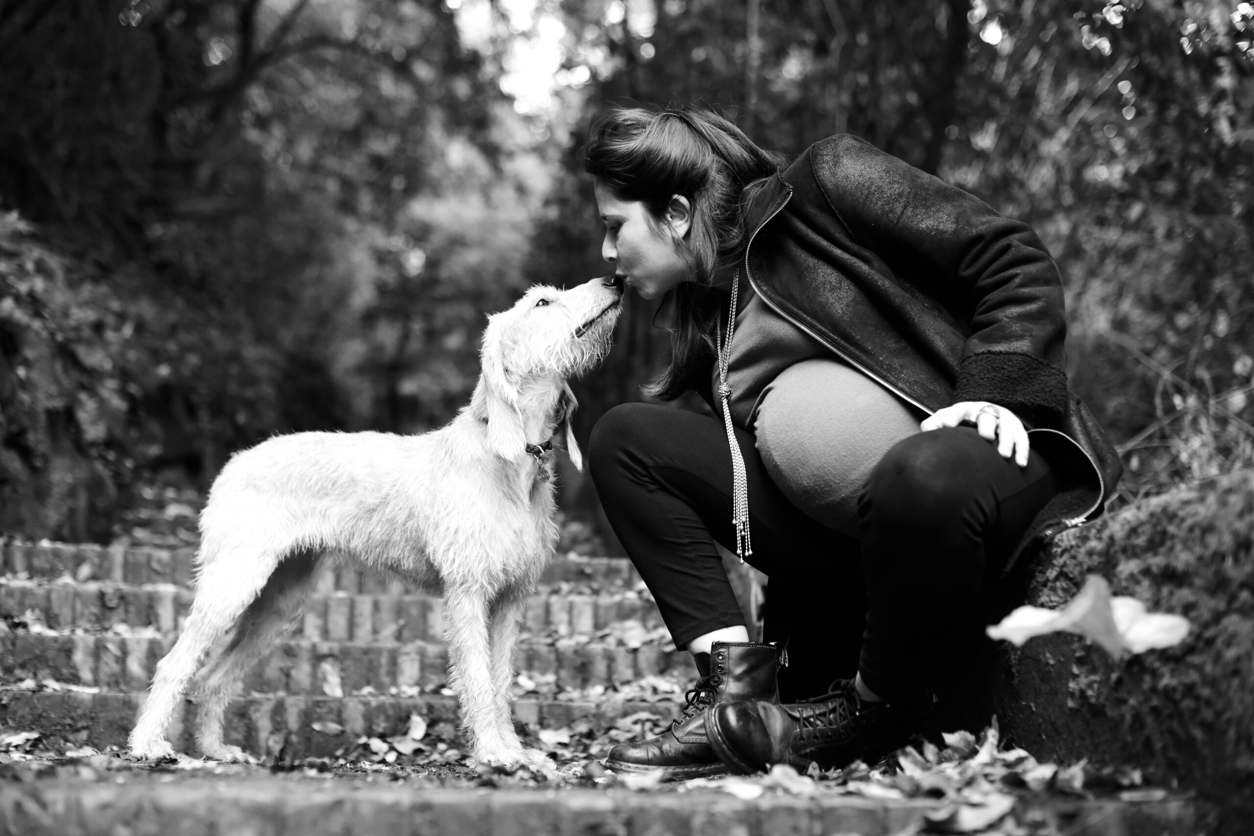 _BCPH_FOTOGRAFIA_CANI_ROMA